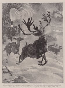 Een race voor het leven, een incident tijdens een treinreis in Newfoundland